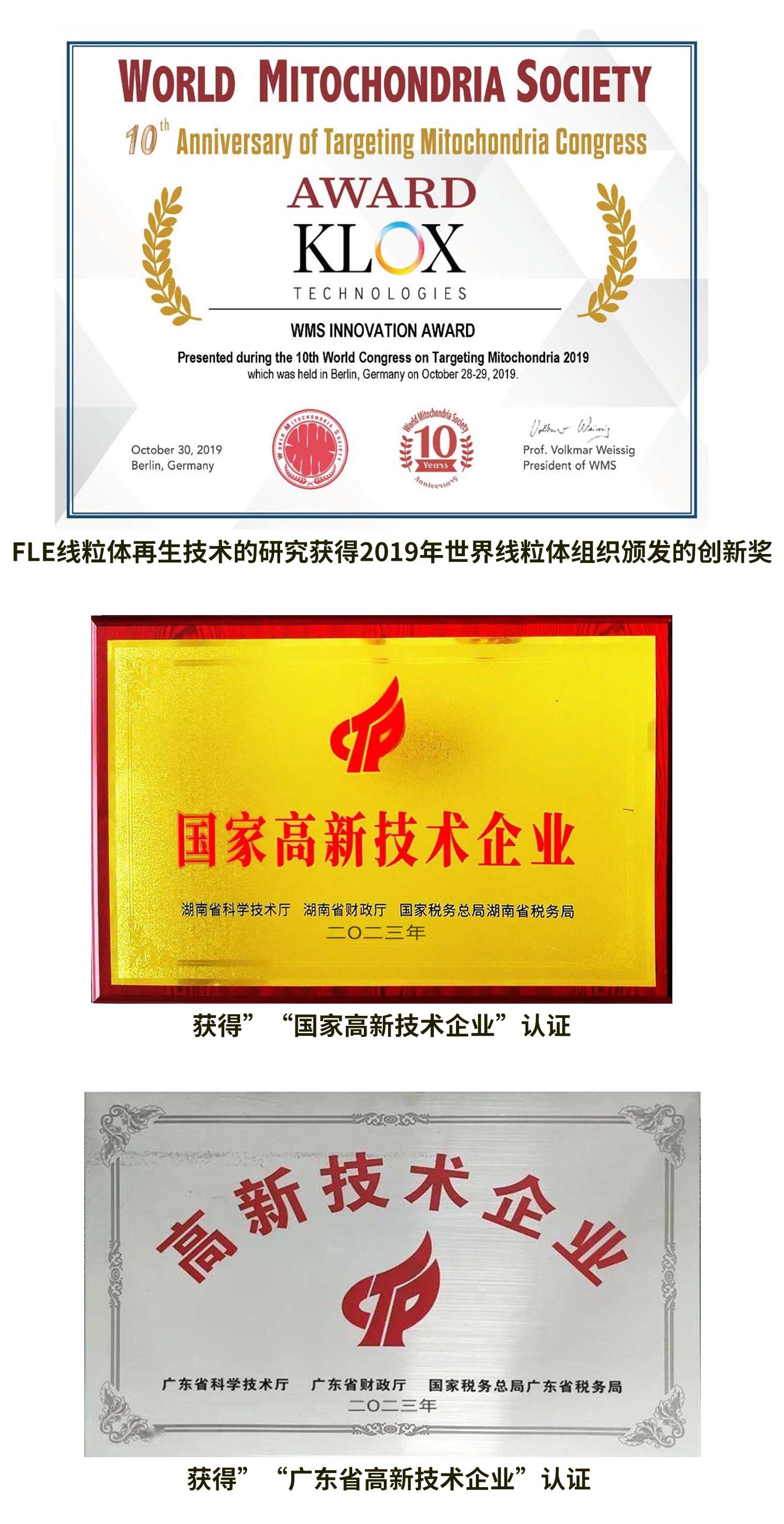FLE线粒体再生技术的研究获得2019年世界线粒体组织颁发的创新奖